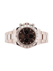 Rolex Daytona 116505 Chocolate Dial